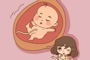 试管婴儿治疗过程中的重要注意事项