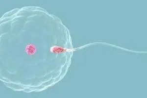 进行试管婴儿时需要关注哪些事项?这些重要细节绝不要忽视!