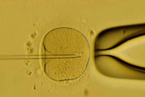 试管婴儿助孕指南:一篇文章了解证件、费用和流程