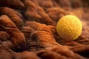 试管婴儿技术是什么?通过从女性体内取出