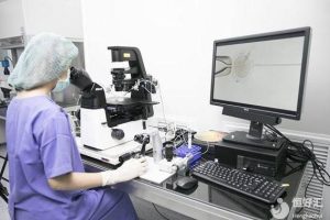 高龄女性进行试管婴儿(体外受精和胚胎移植)时需要注意的事项