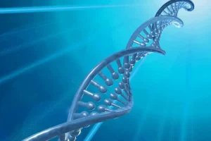 年长女性在接受试管婴儿治疗时需要注意的预防措施