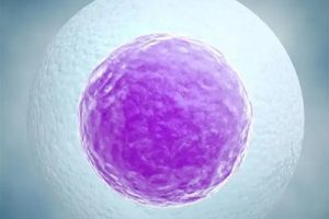 计划在泰国进行试管婴儿?这些术前准备你必须了解!