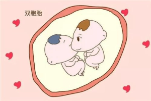 试管婴儿助孕指南:建议、注意事项及费用概览