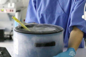 36岁进行试管婴儿的成功率如何?这些要点需要明确
