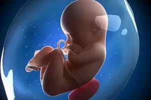 45岁女性做试管婴儿的成功率有多高?