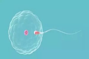 试管婴儿与人工授精:成功指标、主要流程及医院选择建议