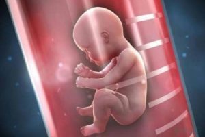 人工授精成功怀孕的迹象有哪些?附完整流程及关键注意事项