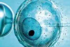 杭州的辅助生殖报销新政策解读