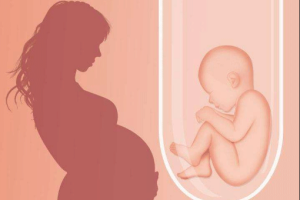 试管婴儿的最佳年龄是多少?有哪些因素会影响其成功率?