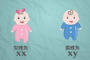 45岁女性进行人工授精的成功率及关键问题解答(高龄女性必读)