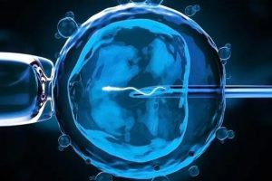 ICSI前应禁欲多久?