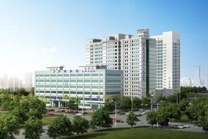 试管婴儿登记后,丈夫何时提供精子?关键时间节点详解