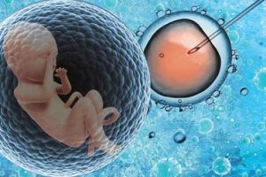 试管婴儿精子采集指南:步骤、准备及常见问题解答