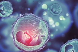 夜间遗精会对试管婴儿术前的精子采集产生影响吗?