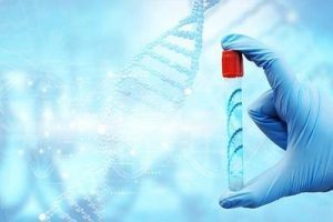 精子质量是试管婴儿成功的重要因素