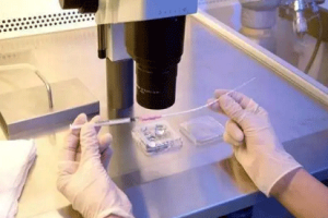 试管婴儿男性精子采集全面指南:步骤、准备和注意事项