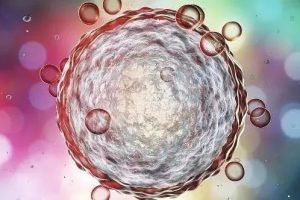 试管婴儿:取卵和取精是否必须在同一天进行?当天能否成功配对?