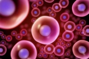 试管婴儿(IVF)治疗中的男性精子提取过程:详细解析与注意事