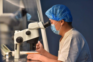 在试管婴儿过程中,能否在提取精子时直接评估精子的质量?