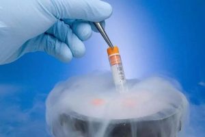 人工授精费用明细及相关问题解答(附试管婴儿概念说明)