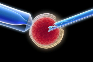 卵巢刺激后取卵失败该如何处理?原因分析与应对方案详解
