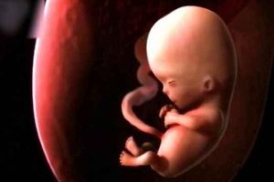 AMH——卵巢储备功能的“晴雨表”