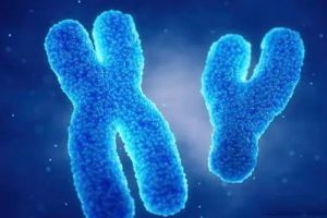 空卵泡综合征是什么?它的成因、影响及应对措施