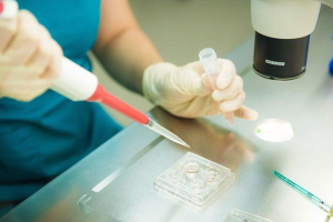 单个卵泡进行试管婴儿的成功率有多高呢?