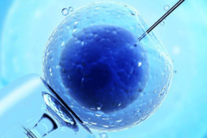 试管婴儿过程中取卵会不会感到疼痛?是否需要使用麻醉?