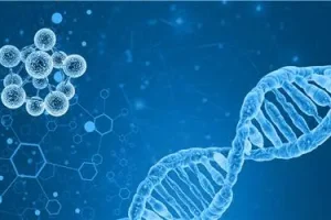 试管婴儿如果遇到卵子质量不佳,该如何应对?请您收藏这份科学指