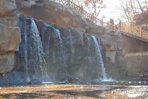 试管婴儿过程中若出现空卵泡,该如何处理?原因分析与科学应对建