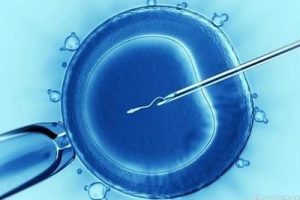 试管婴儿取卵的时间并不是“月经结束后几天”,而是要根据卵泡的