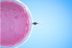 试管婴儿取卵时的麻醉:疼痛情况如何?可以使用麻醉药物吗?