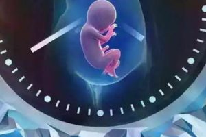 试管婴儿取卵的全过程:从刺激排卵到注射夜针,每个步骤都精准到