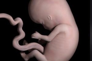 试管婴儿过程中使用促排卵药,是否会导致卵巢功能提前衰退?