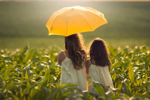 取卵后移植胚胎需要多长时间?