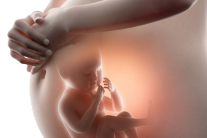 试管婴儿取卵全面指南:注意事项与经验分享,帮助您轻松应对挑战