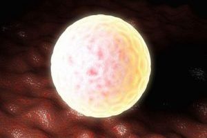 试管婴儿取卵的过程是否真的很痛?