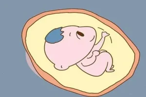 取卵和取精后,胚胎需要培养多长时间才能进行移植?