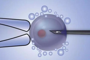 试管婴儿可以重复取卵吗?医生警告:风险非常高,切勿这样做!