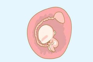 试管婴儿延长方案:是否会增加取卵次数?