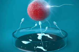 试管婴儿取卵:疼痛感能够控制吗?