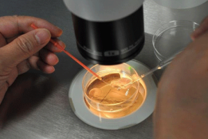 34岁备孕半年没有进展?做好以下四件事,有助于提高怀孕几率