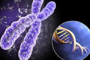 为第三代试管婴儿做准备:科学锻炼如何提高成功率?