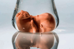 试管婴儿的促排卵会导致提前绝经吗?真相揭晓!