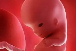 试管婴儿微刺激方案是否需要进行降调“温和”促排卵的全面指南