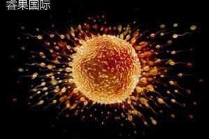 在试管婴儿治疗过程中,女性需要注射促排卵针吗?