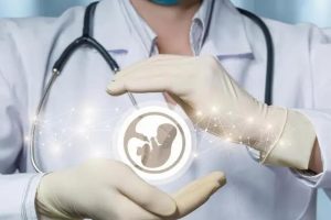 试管婴儿中的促排卵:排卵可以被调整吗?