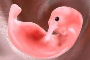 试管婴儿促排卵期间可以同房吗?不同阶段的建议如下!